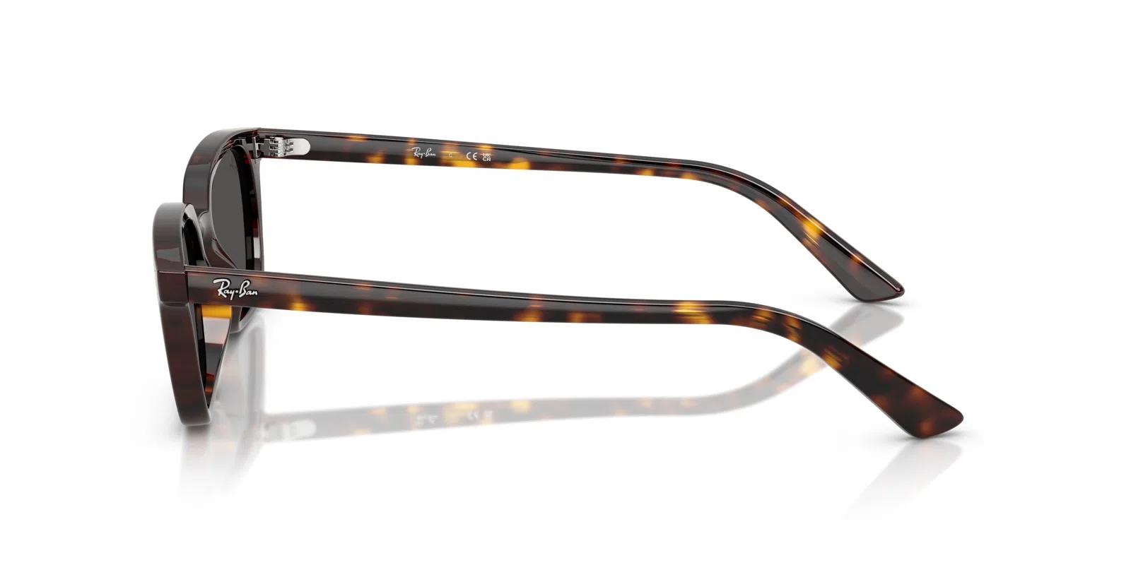 Ray-Ban Zaya 4456F Sunglasses - view 19